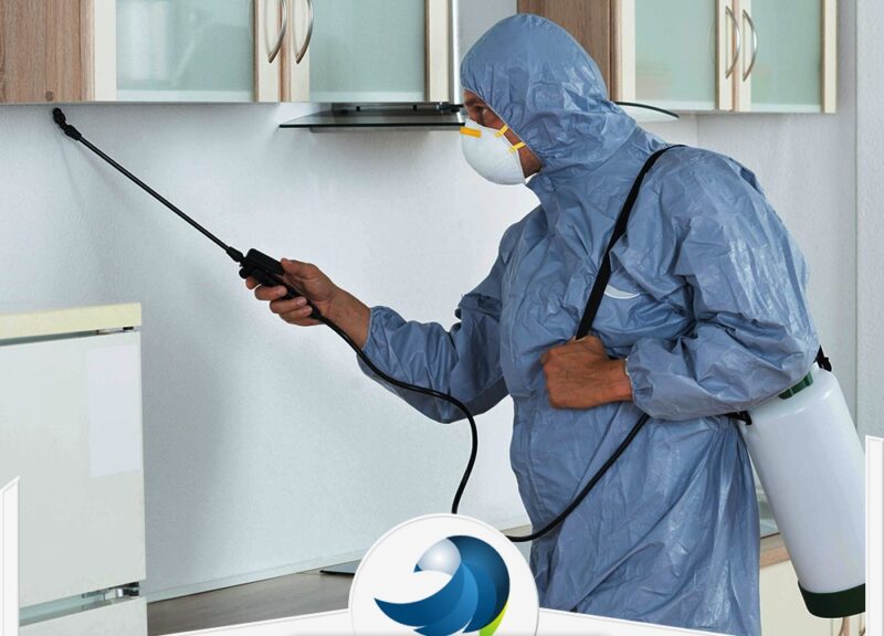 شركة مكافحة حشرات في العين