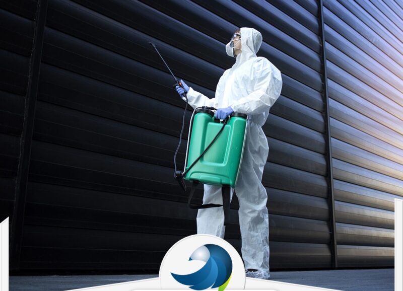 شركة مكافحة حشرات في أبوظبي