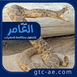 شركة مكافحة الثعابين في أبوظبي